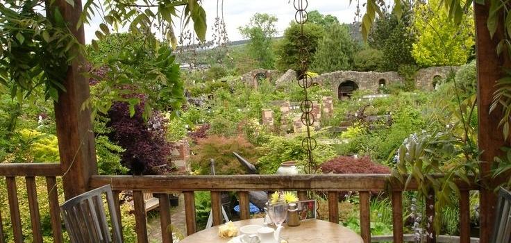Larch Cottage Nurseries