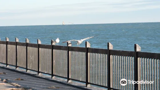 Mariner Park