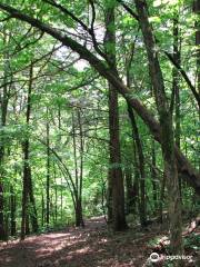 White River Valley Trail