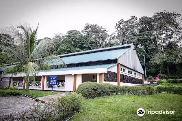 Vuelos ${{cityDName}} Mamfé Central