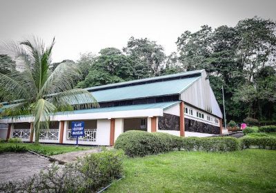 Slave History Museum