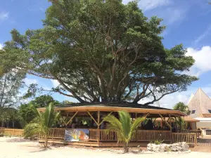 Pirate's Cove Zipline & Water Park