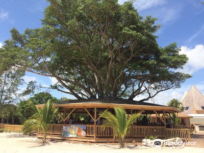 Pirate's Cove Zipline & Water Park