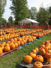 Waldvogel's Pumpkin Farm