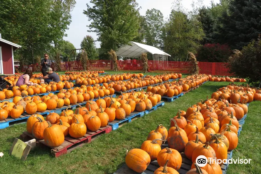 Waldvogel's Pumpkin Farm