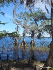 The Disney Wilderness Preserve