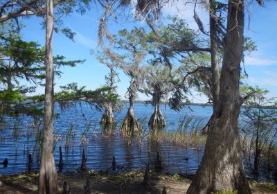 The Nature Conservancy's Disney Wilderness Preserve