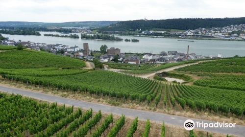 Seilbahn Rudesheim