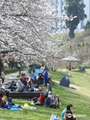 合志市 妙泉寺公園