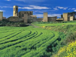 Cerco de Artajona