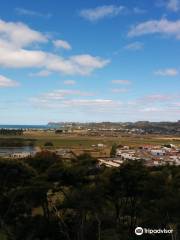 Whitianga Bike Park & Gardens