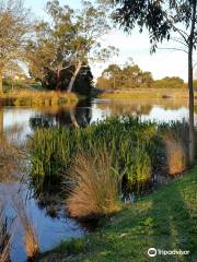 Cobden Lake