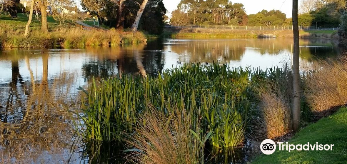 Cobden Travel Guide 2024 Things to Do, What To Eat & Tips