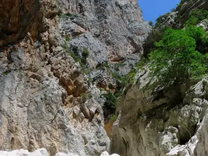 Jebel Sardinia