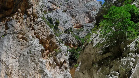 Jebel Sardinia
