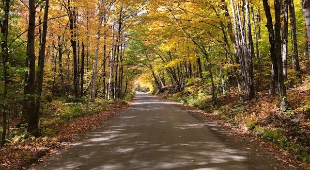 Hazen's Notch Association