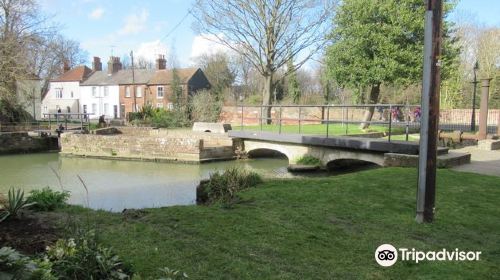 Abbots Mill Garden