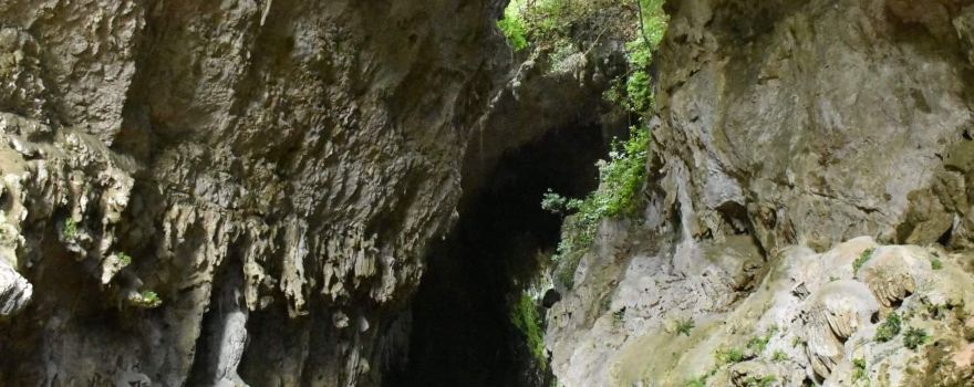 Cuevas de Candelaria Mucbilha