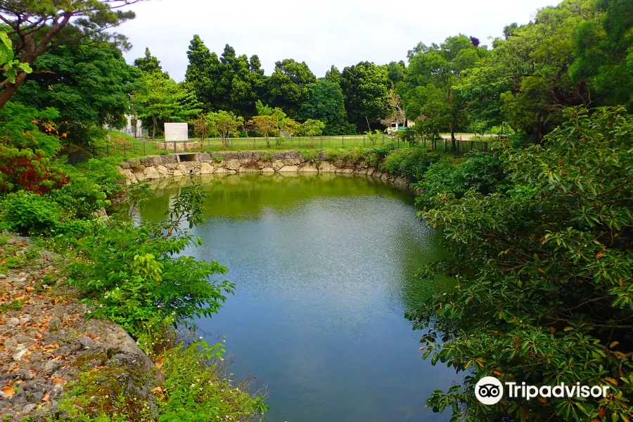 大正池公園