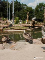 Amersfoort Zoo
