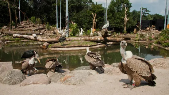 阿默斯福特動物園