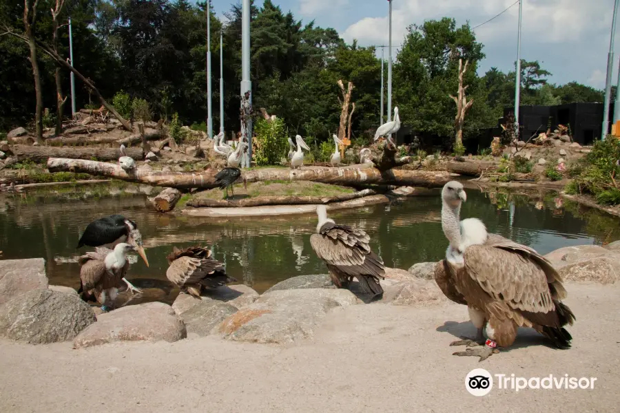 Amersfoort Zoo