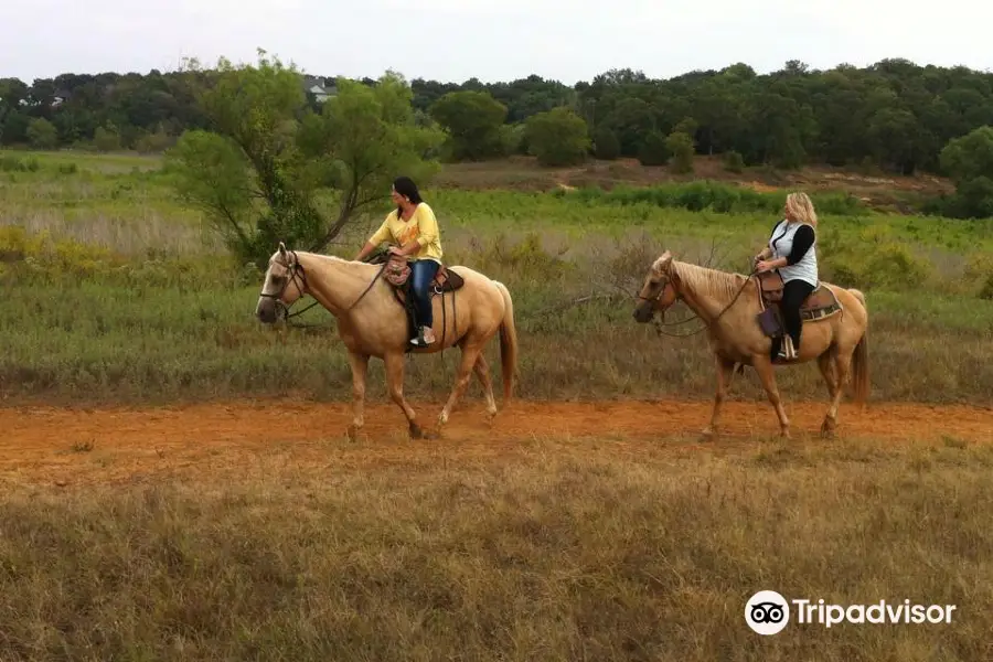 Widowmaker Trail Rides