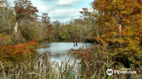 Becks Lake Fish Camp