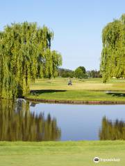 Golf Club Faenza "Le Cicogne"