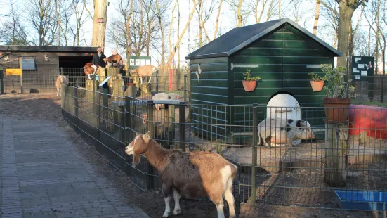 Kinderboerderij Velserbeek