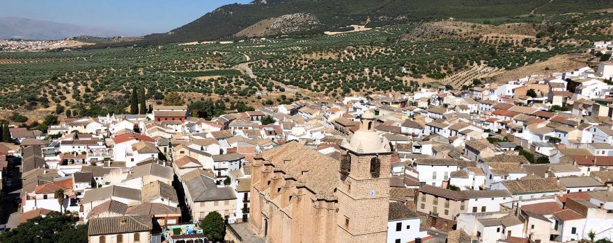 Castillo De Illora