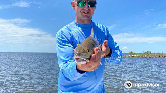 The Cajun Vista Lodge at Bourgeois Fishing Charters