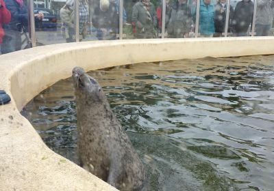 Aquarium Kiel