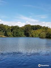 Bolam Lake Country Park