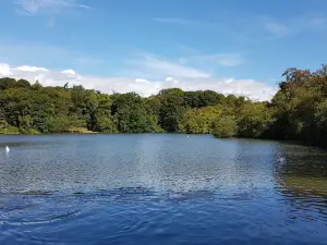 Bolam Lake Country Park