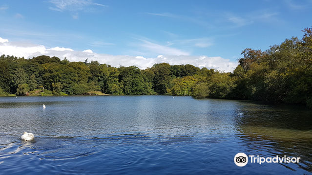 Bolam Lake Country Park