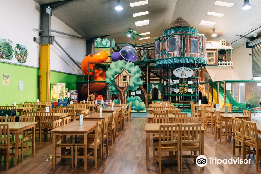 Wild One's Soft Play