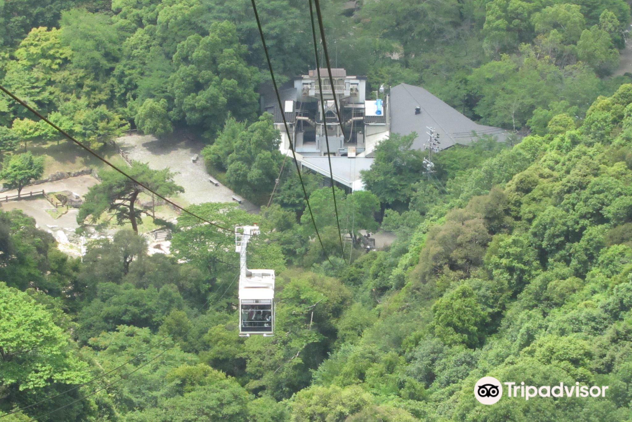 岐阜 岐阜観光 金華山ロープウェーに乗ってきた！ | Trip.com 岐阜