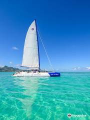 Croisières Australes Ile Aux Cerfs