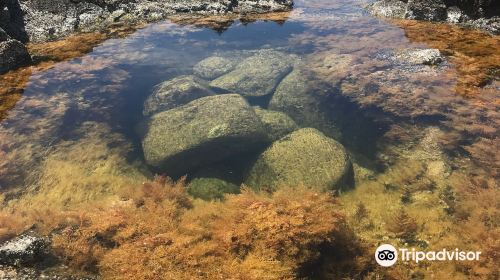 Piscinas Naturais