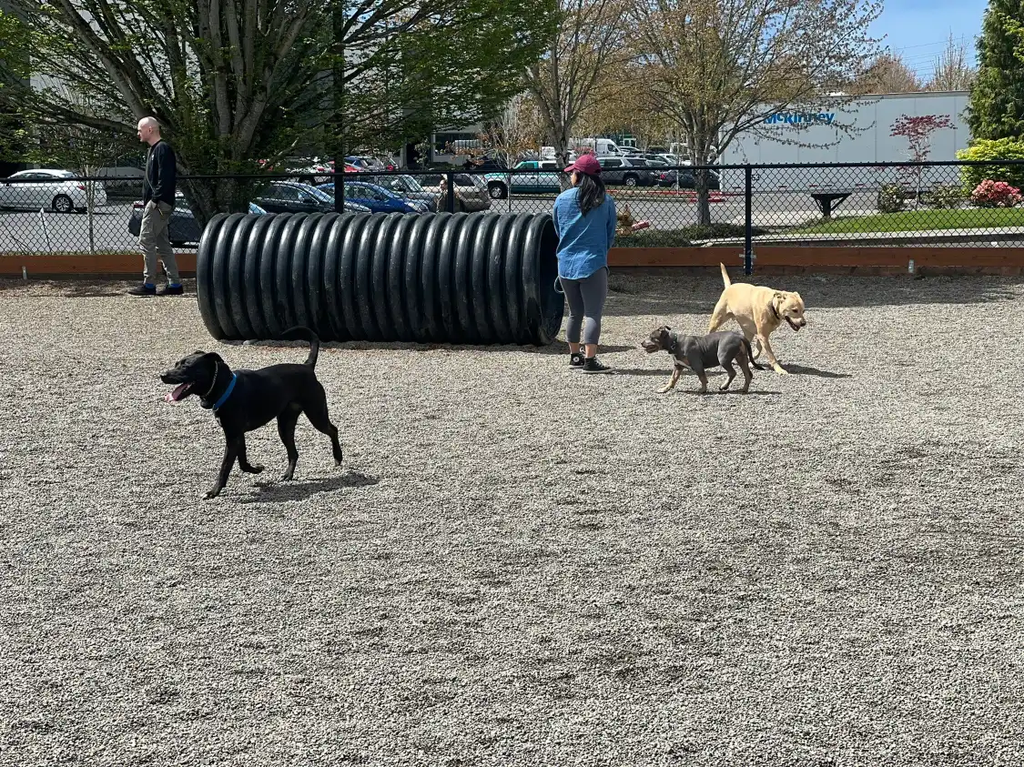 Hotels near Hondo Dog Park
