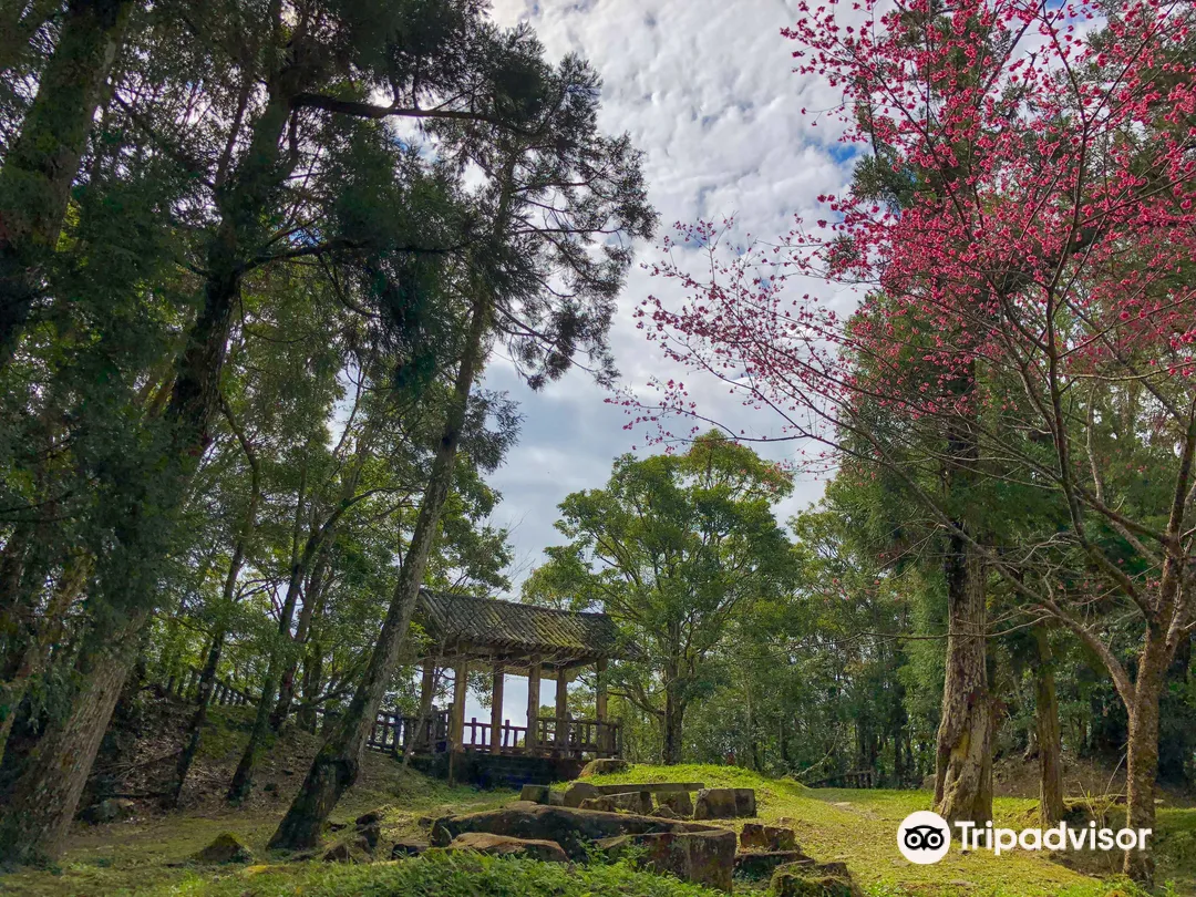 4_東眼山國家森林遊樂區