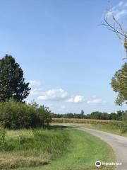 Horseshoe Lake State Park