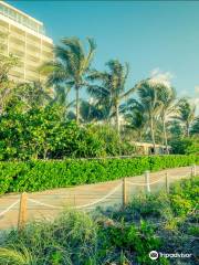 Miami Beach Boardwalk