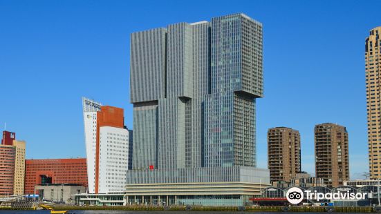 The Rotterdam
