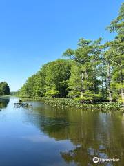 Reelfoot National Wildlife Refuge