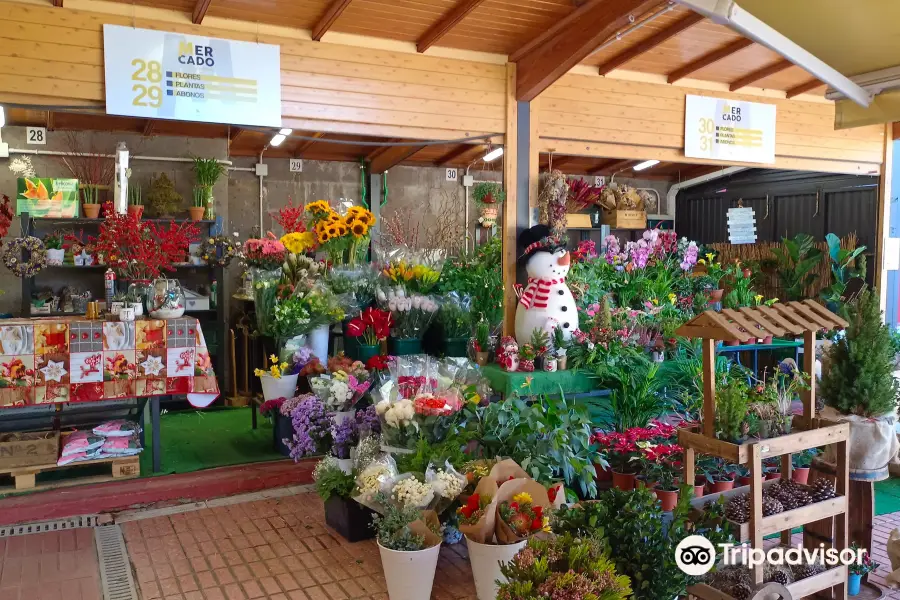 Mercadillo Municipal de Santa Brígida