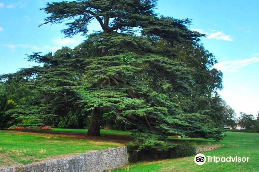 Bury Knowle Park