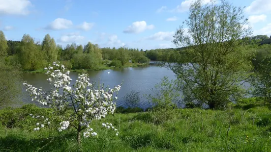 Sence Valley Country Park