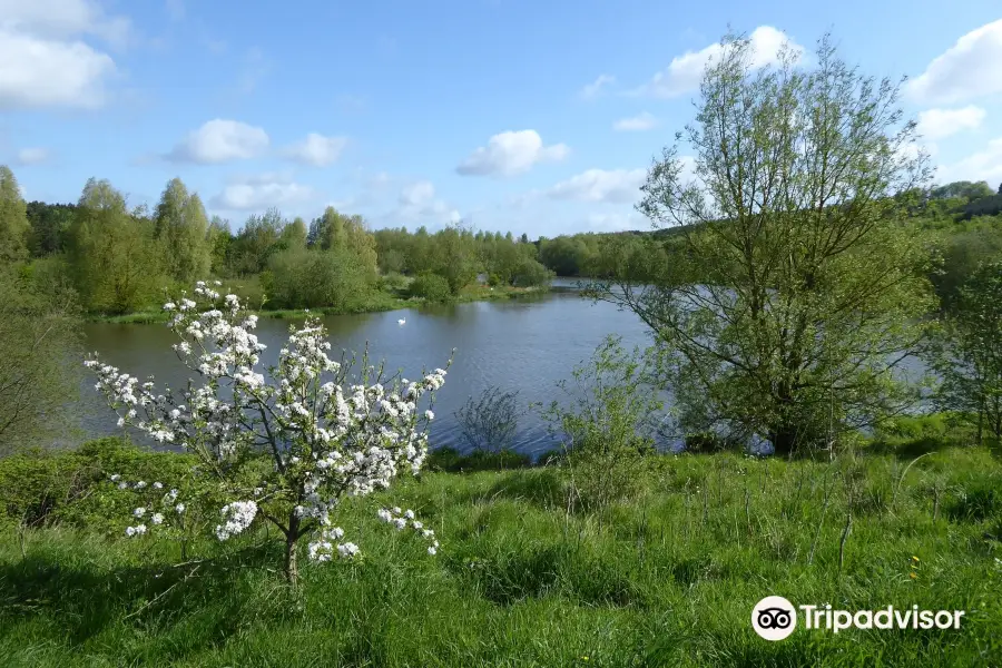 Sence Valley Forest Park